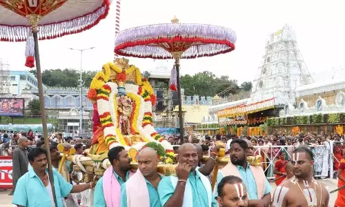 Andhra: अनोखा बाघ सवारी उत्सव मनाया गया Andhra: अनोखा बाघ सवारी उत्सव मनाया गया