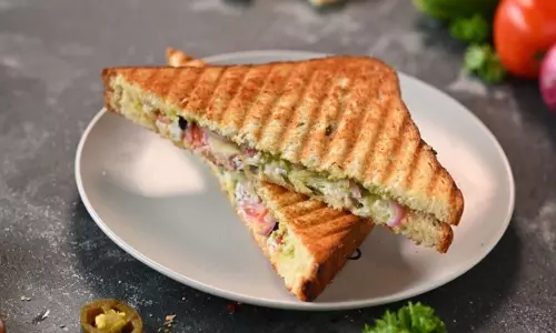 Rainbow grill sandwich आसान है बनाने का तरीका Rainbow grill sandwich आसान है बनाने का तरीका
