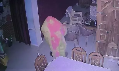 ओडिशा में चालाक चोरों ने पहचान छिपाने के लिए CCTV को साड़ी से ढक दिया, लाखों के गहने लूट लिए