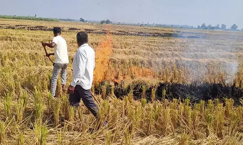 Haryana : फसल अवशेष में आग लगाने पर किसान पर मामला दर्ज Haryana : फसल अवशेष में आग लगाने पर किसान पर मामला दर्ज