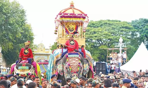 Tradition Vs Compassion: धार्मिक और सांस्कृतिक आयोजनों में हाथियों को लेकर बहस Tradition Vs Compassion: धार्मिक और सांस्कृतिक आयोजनों में हाथियों को लेकर बहस