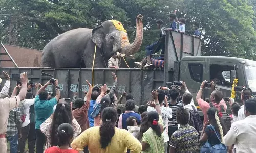 Karnataka: दशहरा के हाथी, शानदार प्रदर्शन के बाद अपने जंगल में चले