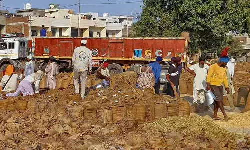 Amritsar में धान खरीद के लिए किसानों को 43.08 करोड़ रुपये वितरित किए गए