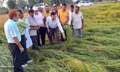 Kathua MLA ने तूफान से फसल को हुए नुकसान का आकलन किया