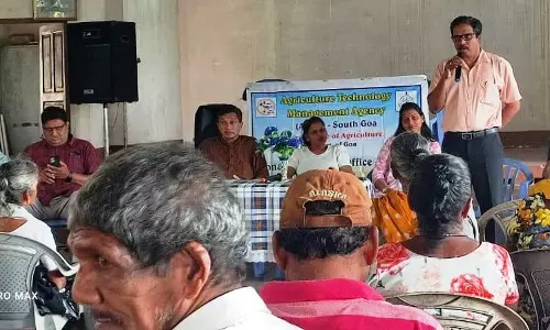 GOA: साओ जोस डे एरियल प्यात ने किसानों के लिए सरकारी पहल को बढ़ावा दिया