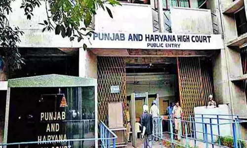 Punjab और हरियाणा हाईकोर्ट ने पंचायत चुनाव रद्द करने की मांग वाली 1000 याचिकाएं खारिज कीं