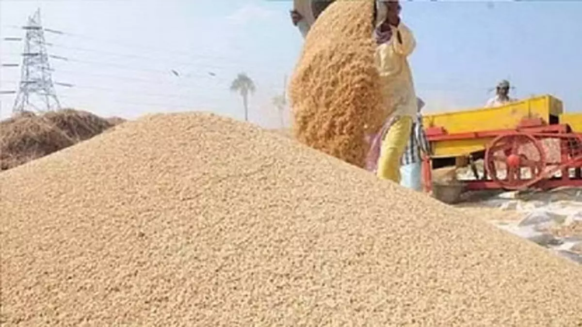 सांय सांय होगी धान खरीदी, फटाफट ये काम कर लें किसान