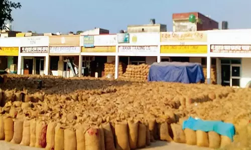 Haryana: समय पर धान का उठाव नहीं हो रहा
