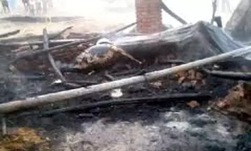 Haryana: दर्दनाक हादसा, पशुबाड़े में आग लगने से 2 गाय जिंदा जले Haryana: दर्दनाक हादसा, पशुबाड़े में आग लगने से 2 गाय जिंदा जले