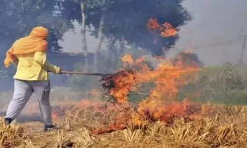 Haryana: यमुनानगर में पराली जलाने पर किसान पर मामला दर्ज Haryana: यमुनानगर में पराली जलाने पर किसान पर मामला दर्ज