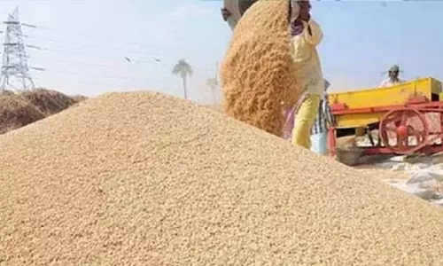 सांय सांय होगी धान खरीदी, फटाफट ये काम कर लें किसान