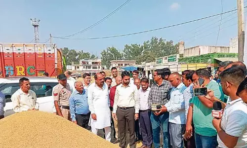 DC ने अनाज मंडियों का निरीक्षण किया, एजेंसियों को उठान प्रक्रिया पर ध्यान केंद्रित करने के निर्देश दिए