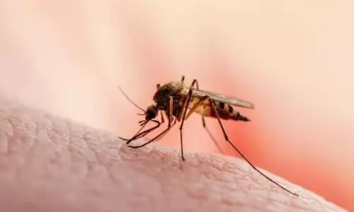 Arunachal: 25 में से 14 जिले मलेरिया मुक्त प्रमाणीकरण के लिए पात्र Arunachal: 25 में से 14 जिले मलेरिया मुक्त प्रमाणीकरण के लिए पात्र