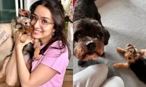 Shraddha Kapoor ने अपने पालतू कुत्ते के पसंदीदा गाने का खुलासा किया