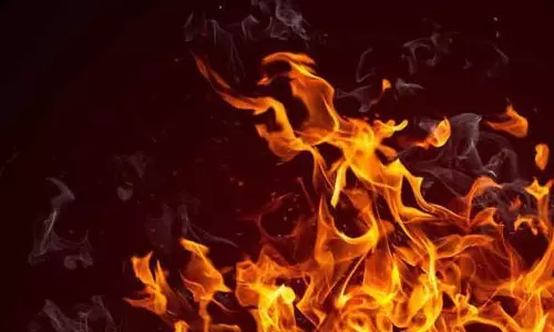 Jhajjar गांव में शेड में आग लगने से मवेशी मरे