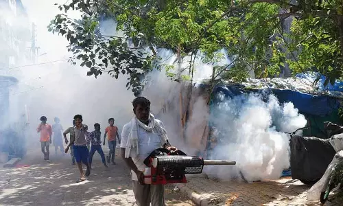 Panchkula में अब तक डेंगू के 950 मामले