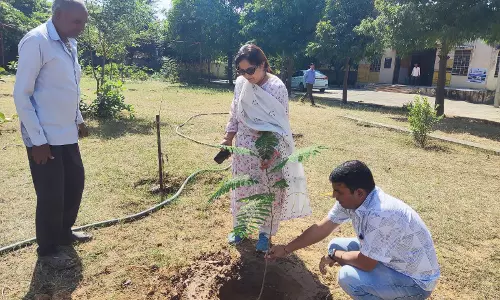 Jaipur: आयुक्त मनरेगा में योजना अंतर्गत चल रहे विकास कार्यों का किया औचक निरीक्षण