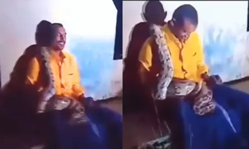 VIRAL VIDEO: नशे में धुत शख्स पर चढ़ा गया अजगर, फिर जो हुआ...