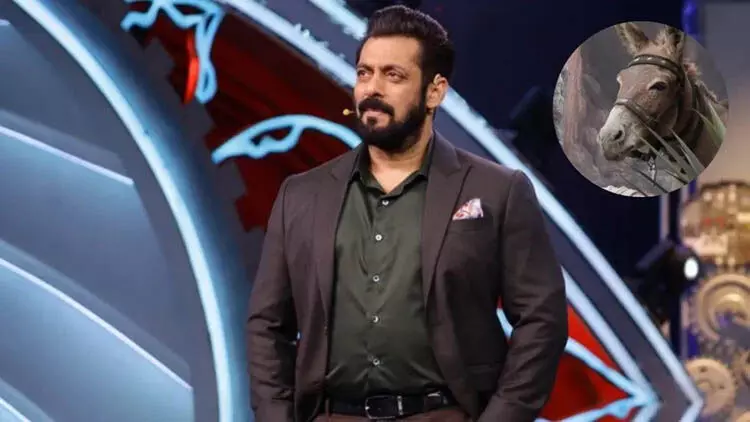 Salman Khans के शो पर तीसरा एलिमिनेशन