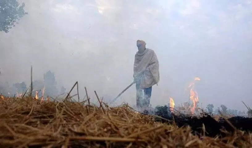 Delhi: पराली जलाने को लेकर सुप्रीम कोर्ट ने हरियाणा सरकार को फटकार लगाई