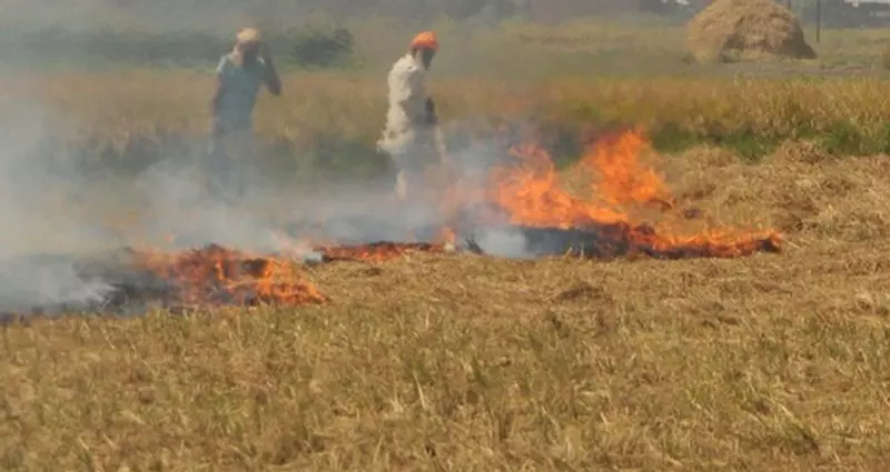 सुप्रीम कोर्ट ने पराली जलाने पर कार्रवाई न करने पर Haryana और पंजाब को फटकार लगाई