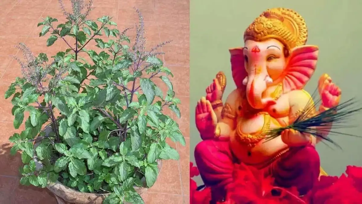 Tulsi और भगवान गणेश ने एक दूसरे को श्राप क्यों दिया