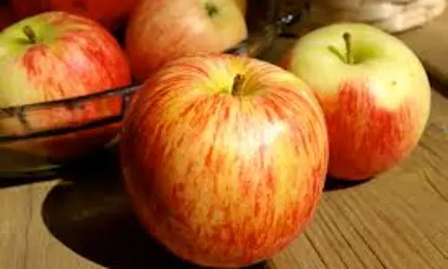 सेब का हलवा:  स्वाद के साथ बनेगी सेहत