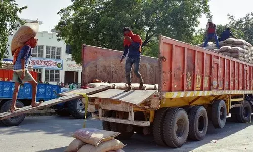Jhajjar की मंडियों में 18,998 मीट्रिक टन बाजरे की खरीद हुई Jhajjar की मंडियों में 18,998 मीट्रिक टन बाजरे की खरीद हुई