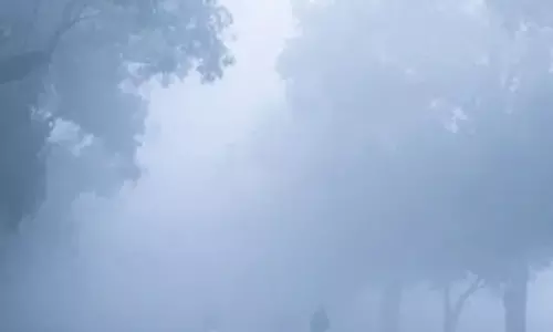 Chhattisgarh: अगले 10 दिनों में ठंड की दस्तक