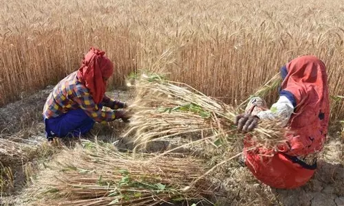 Himachal: महिला किसान दिवस मनाया गया Himachal: महिला किसान दिवस मनाया गया