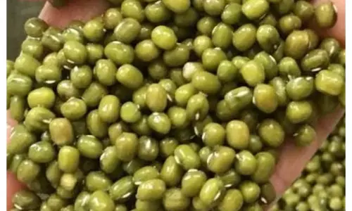 छिलके वाली मूंग दाल के फायदे बेमिसाल छिलके वाली मूंग दाल के फायदे बेमिसाल