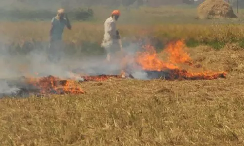 सुप्रीम कोर्ट ने पराली जलाने पर कार्रवाई न करने पर Haryana और पंजाब को फटकार लगाई सुप्रीम कोर्ट ने पराली जलाने पर कार्रवाई न करने पर Haryana और पंजाब को फटकार लगाई