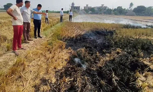 Haryana : पराली जलाने पर कार्रवाई 232 किसानों पर रेड, जुर्माना Haryana : पराली जलाने पर कार्रवाई 232 किसानों पर रेड, जुर्माना
