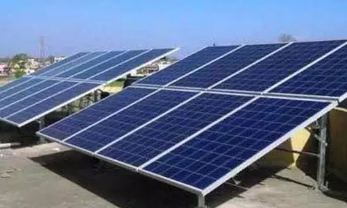China से चुनौतियों के बीच भारत 2029 तक सौर मॉड्यूल का निर्यातक बन जाएगा- क्रिसिल