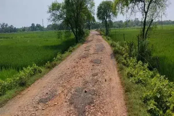 Baharagora: डोमजुड़ी-मालबांधी सड़क जर्जर, ग्रामीण परेशान Baharagora: डोमजुड़ी-मालबांधी सड़क जर्जर, ग्रामीण परेशान