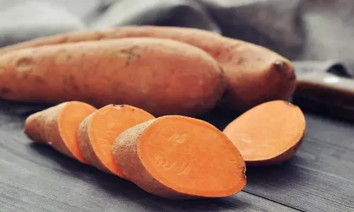 खाने के अलावा शकरकंद त्वचा की देखभाल में भी मदद करता खाने के अलावा शकरकंद त्वचा की देखभाल में भी मदद करता