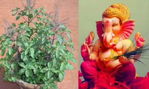 Tulsi और भगवान गणेश ने एक दूसरे को श्राप क्यों दिया Tulsi और भगवान गणेश ने एक दूसरे को श्राप क्यों दिया