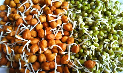 घर पर आसानी से अंकुरित किया जा सकता जानिए