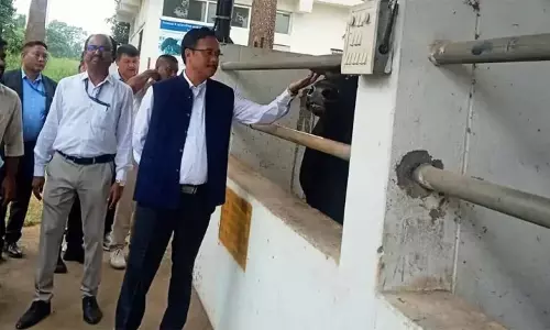 Nagaland : वांगसू ने मिथुन संरक्षण की सराहना की
