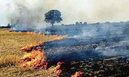 पराली जलाने के मुद्दे पर SC ने पंजाब और हरियाणा के मुख्य सचिवों को तलब किया पराली जलाने के मुद्दे पर SC ने पंजाब और हरियाणा के मुख्य सचिवों को तलब किया