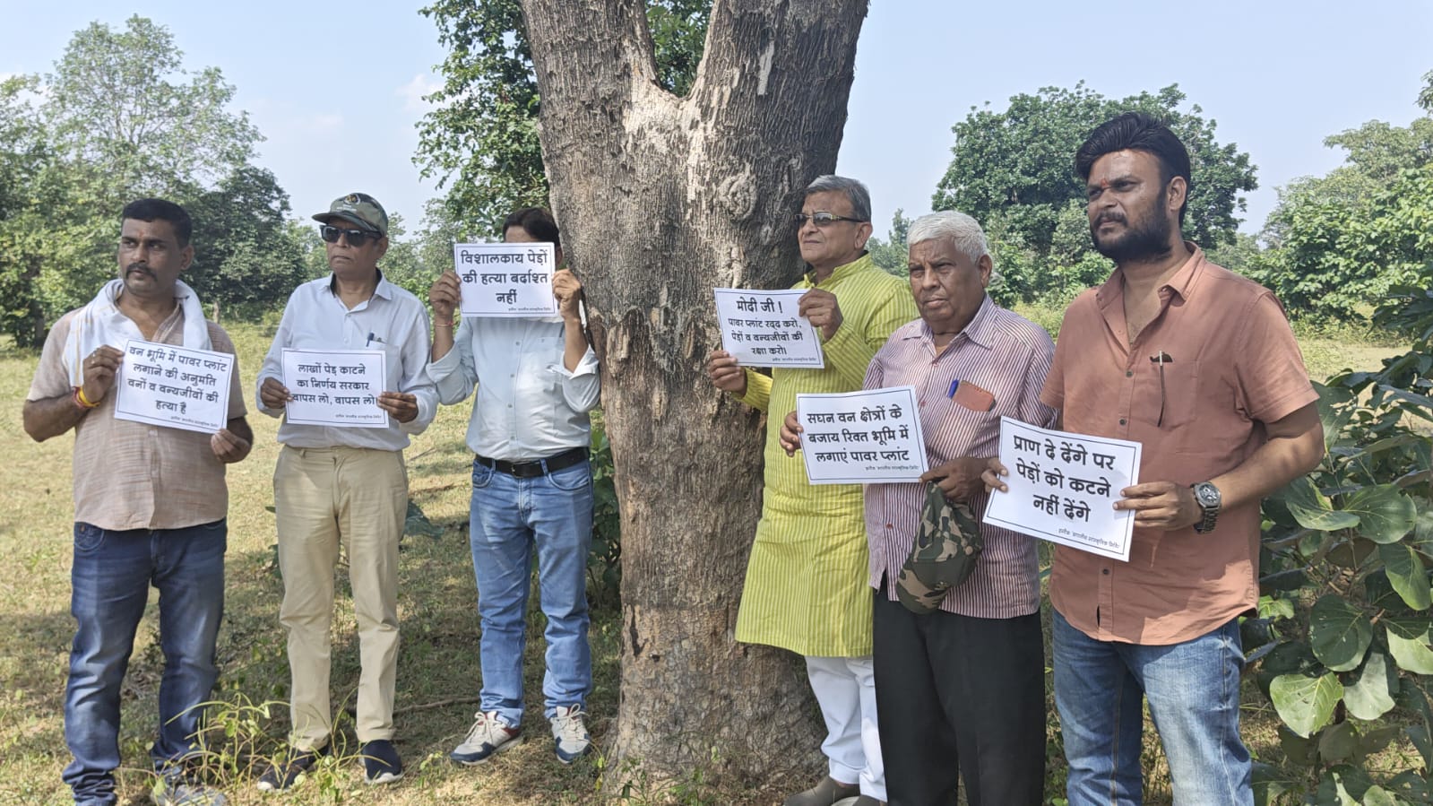 लाखों पेड़ो की कटाई में कॉरपोरेट और सरकार की मिलीभगत: पर्यावरणविद् Babulal Jaju