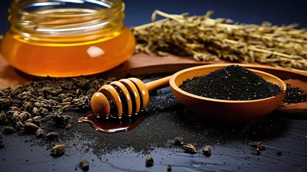 Honey with Cumin Benefits: शहद और जीरे के  सेवन करने से मिलते हैं स्वास्थ्य लाभ