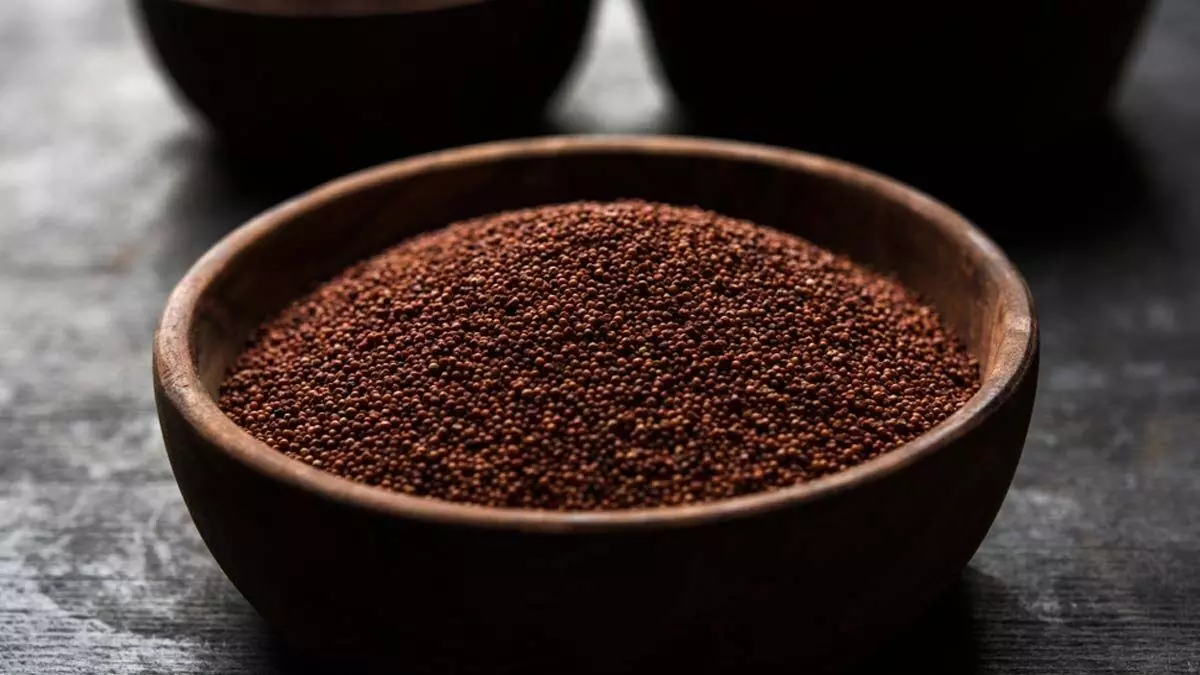 Benefits of eating Ragi:  सेहत का छिपा खजाना है रागी, जानें इसके फायदे