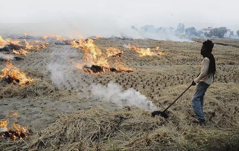 पराली जलाने को लेकर सुप्रीम कोर्ट ने  Punjab, Haryana को फटकार लगाई