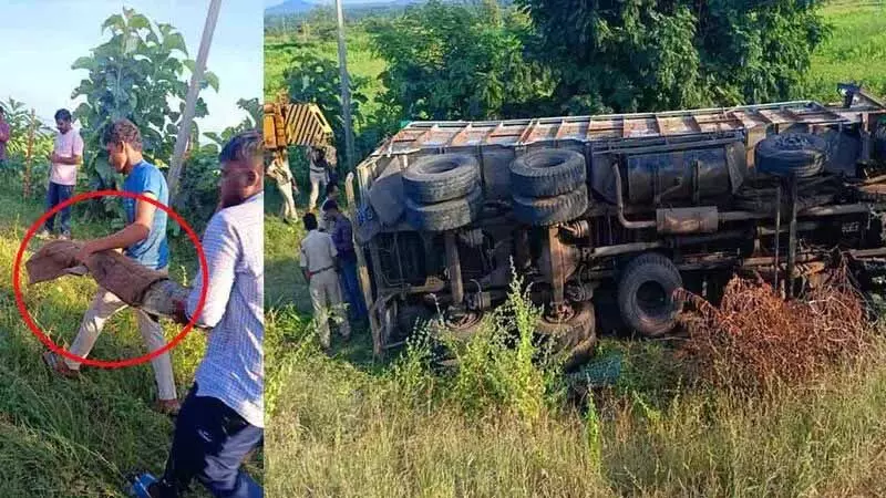 Telangana: ट्रक पलटने के बाद दो मगरमच्छों को फिर से पकड़ा गया