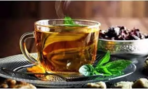 Immunity Boost: त्योहारों में कम नहीं होगी आपकी इम्युनिटी, पीना शुरू कर दें ये हर्बल ड्रिंक्स