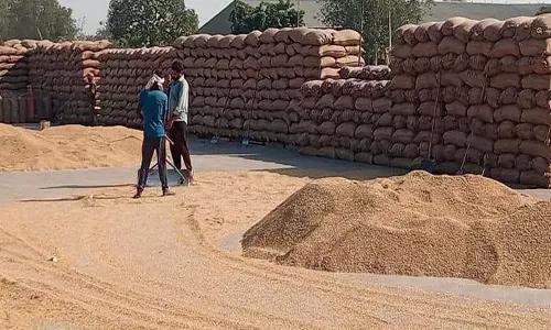 Haryana: यमुनानगर से 40 फीसदी धान का उठान मांगा गया Haryana: यमुनानगर से 40 फीसदी धान का उठान मांगा गया