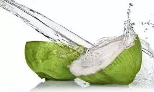 Health: पथरी की सभी समस्याओं से मुक्ति दिलाता है इस फल का पानी Health: पथरी की सभी समस्याओं से मुक्ति दिलाता है इस फल का पानी