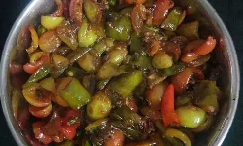 करोंदा हरी मिर्च प्याज की चटनी बहुत स्वादिष्ट एक बार जरूर ट्राई करें