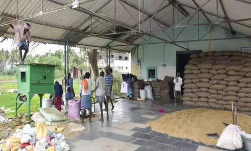 Tamil: तंजावुर के धान किसान डीपीसी के बजाय निजी व्यापारियों को प्राथमिकता देते Tamil: तंजावुर के धान किसान डीपीसी के बजाय निजी व्यापारियों को प्राथमिकता देते